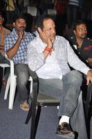 Balakrishna Gallery